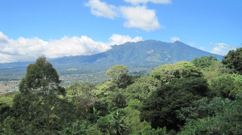 Cloud Forest Botanicals景点图片