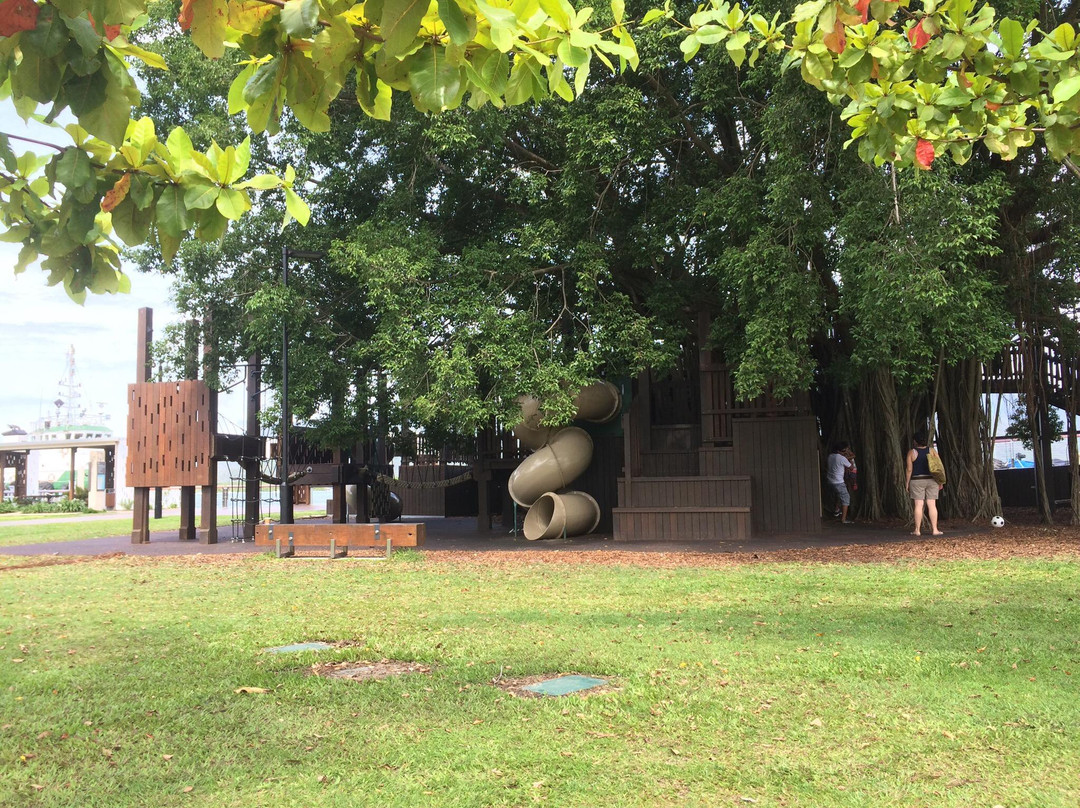 Figtree Playground-凯恩斯必去景点