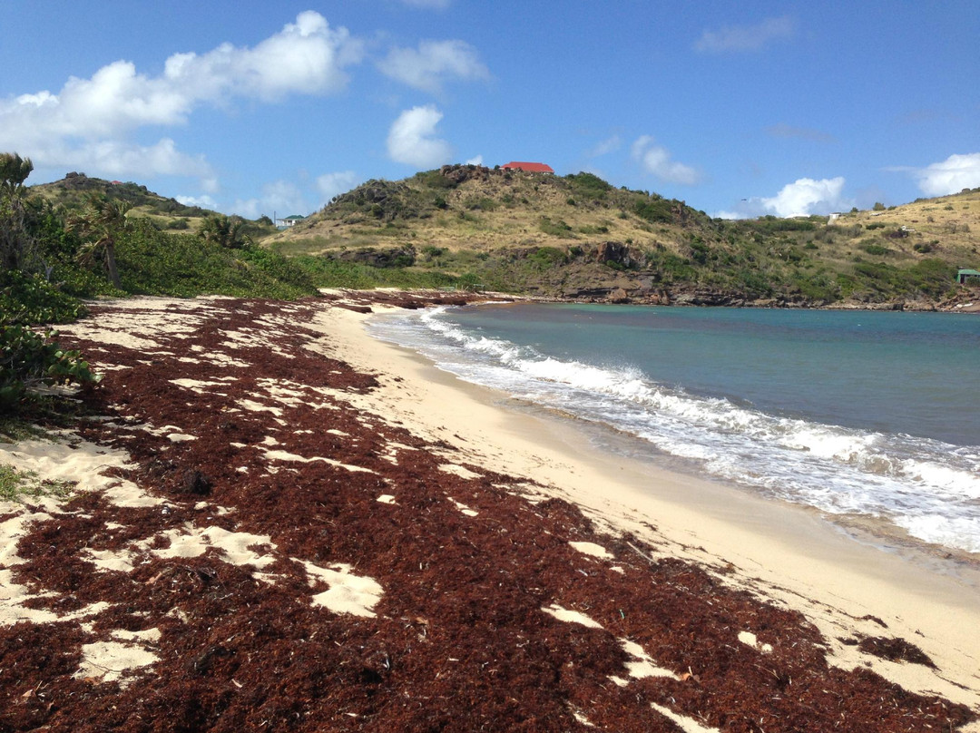 Petit Cul de Sac Beach-圣巴托洛缪岛必去景点