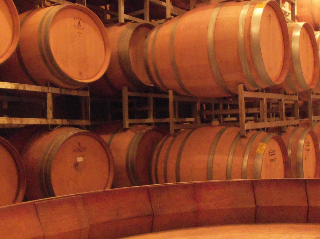 Bodega Stocco de Viani-Maipu必去景点