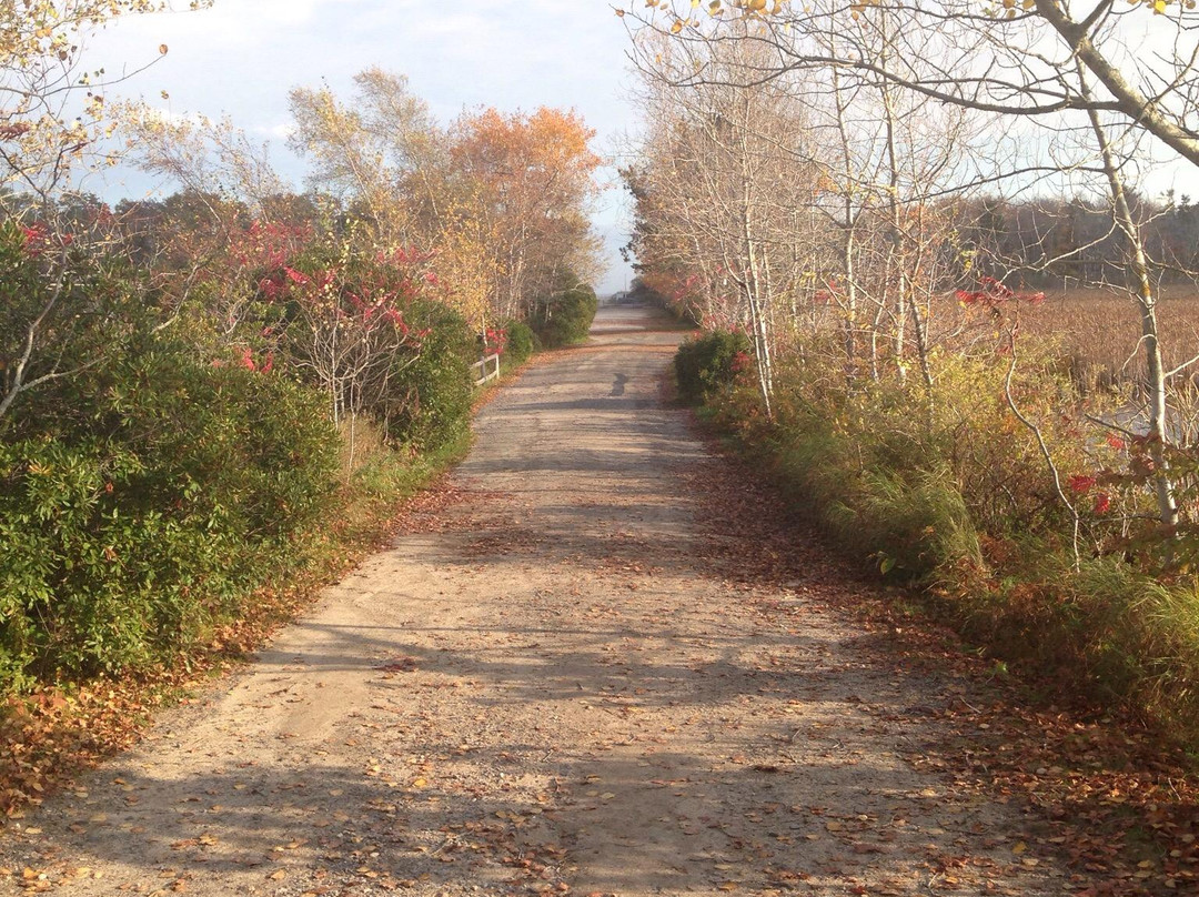 Scarborough Beach State Park景点图片