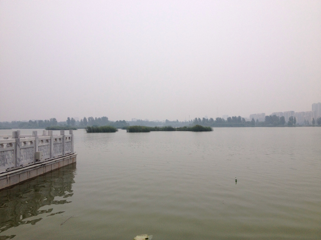 东昌湖-聊城市必去景点