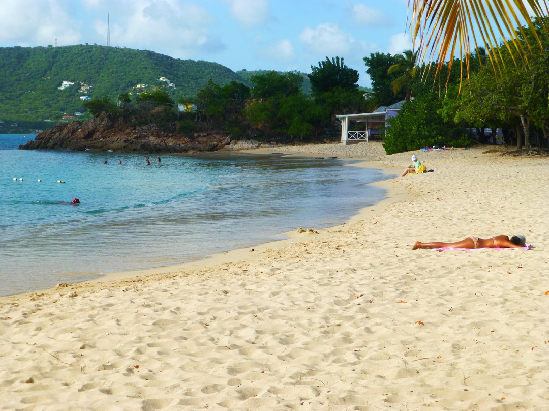 Unique Island Tours-圣 约翰必去景点