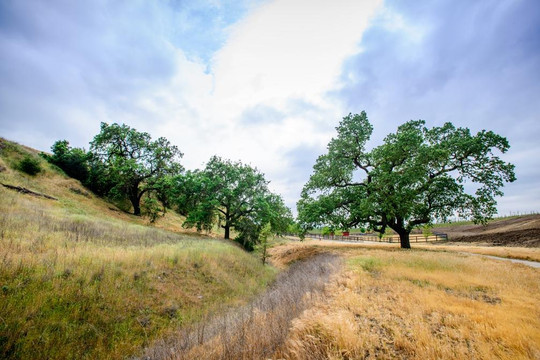 Crown Point Vineyards-圣伊内斯必去景点