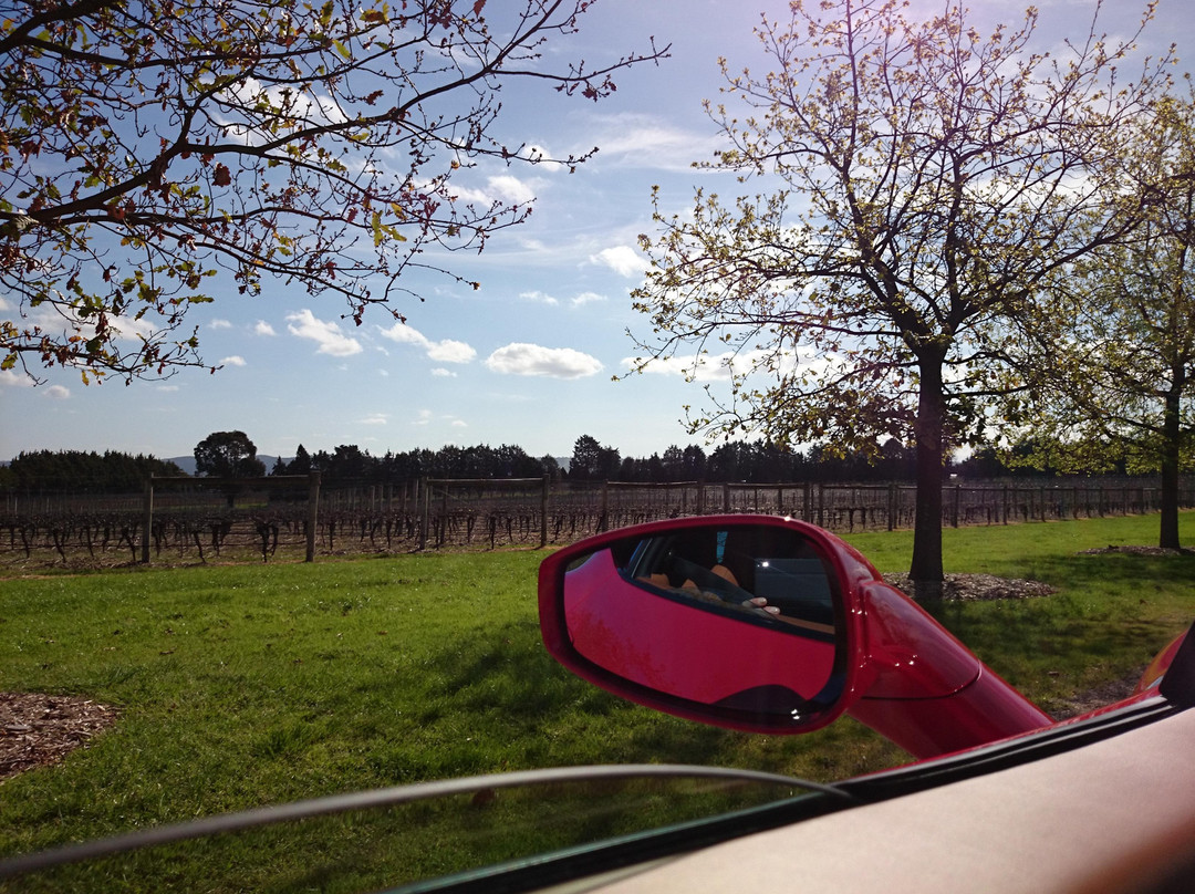 Prancing Horse Drive Experiences - Yarra Valley景点图片