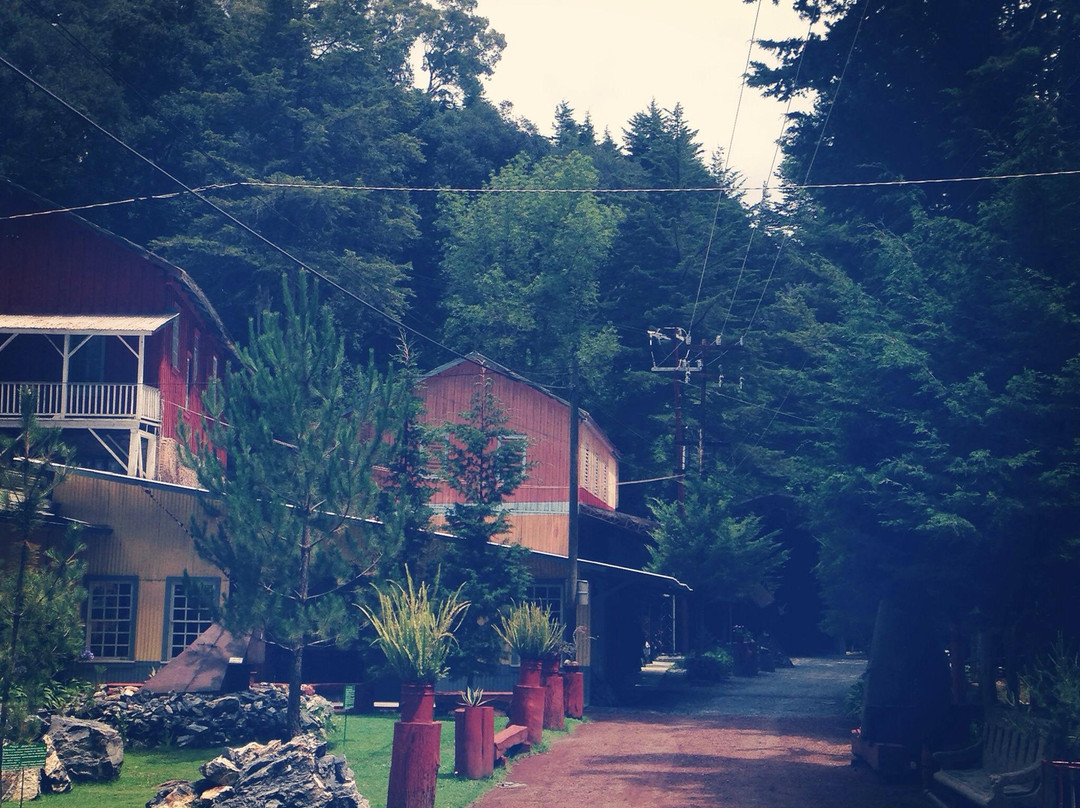 Museo Mina Dos Estrellas-Tlalpujahua必去景点