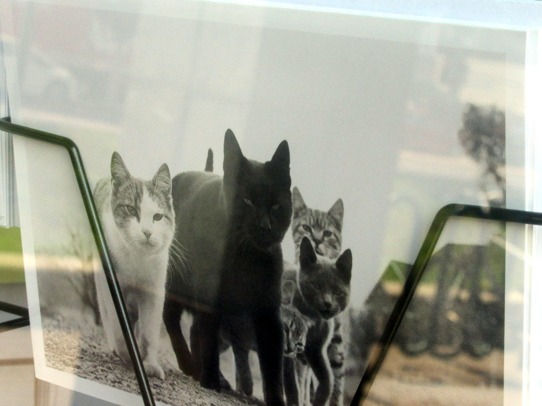 Kepler's Books-门洛帕克必去景点