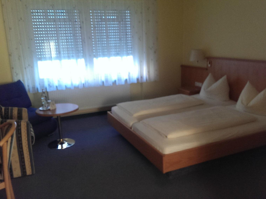 Zum Roessle Hotel Gasthof主图