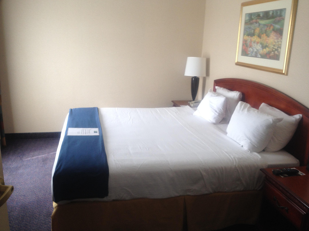 Shartlesville酒店住宿-Holiday Inn Express & Suites Reading Airport by IHG