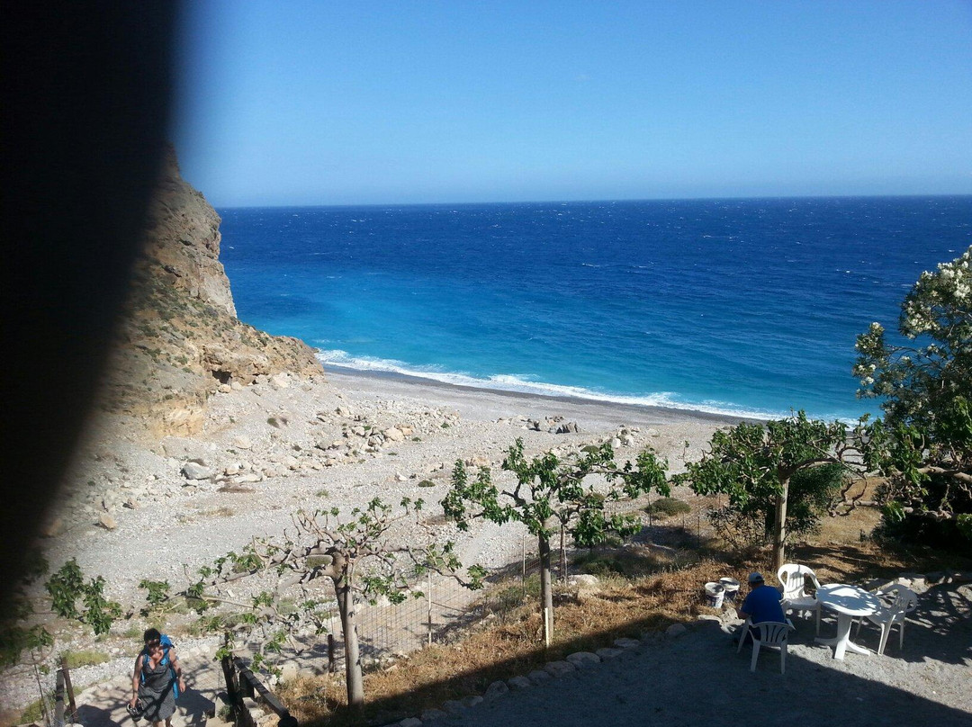 Ilingas Pension主图