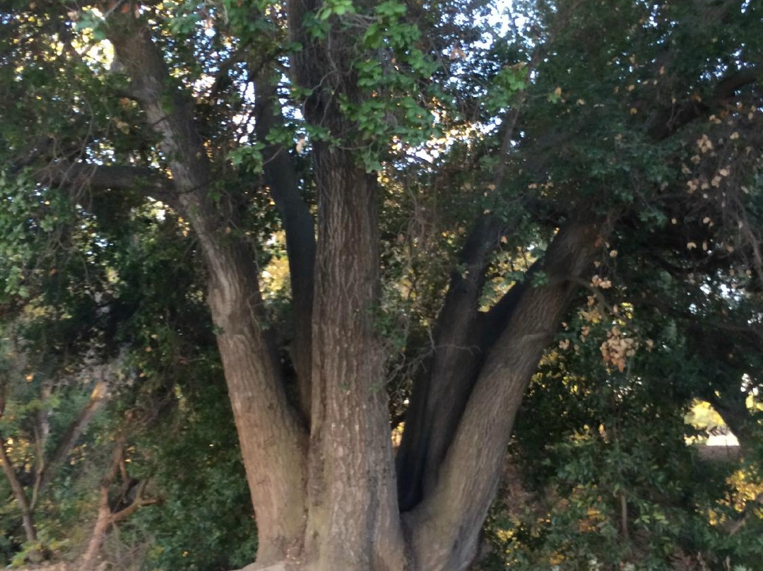 Coyote Creek Parkway Path-圣何塞必去景点