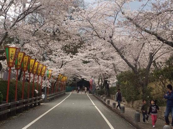 Tatsuno Park-龙野市必去景点