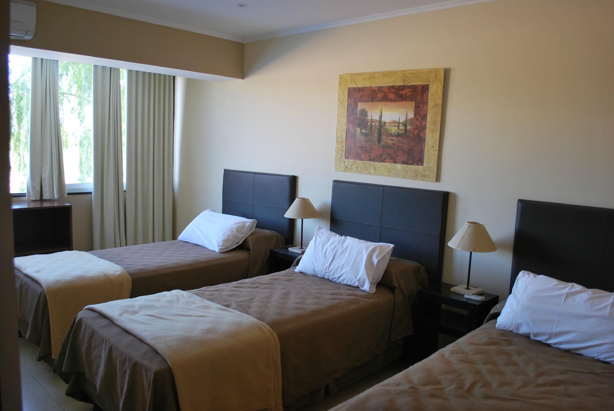 Acrux Barreal Aparthotel-客卧