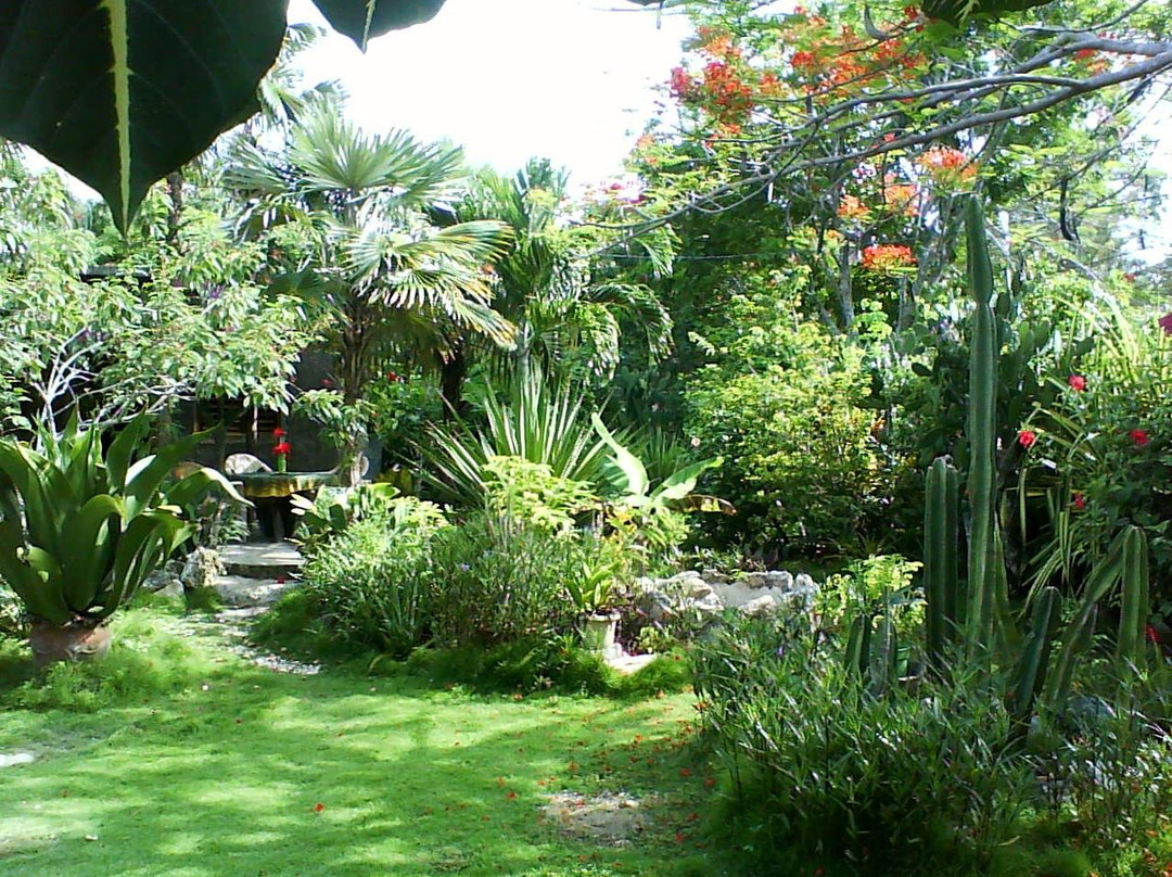 Barney's Botanical Garden Jamaica景点图片