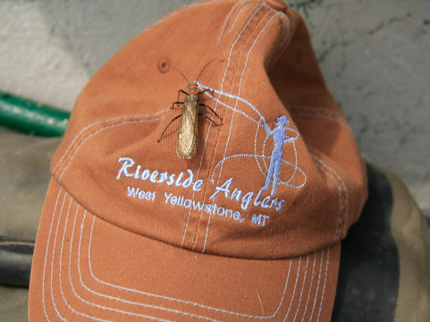 Riverside Anglers, Inc.-西黄石镇必去景点