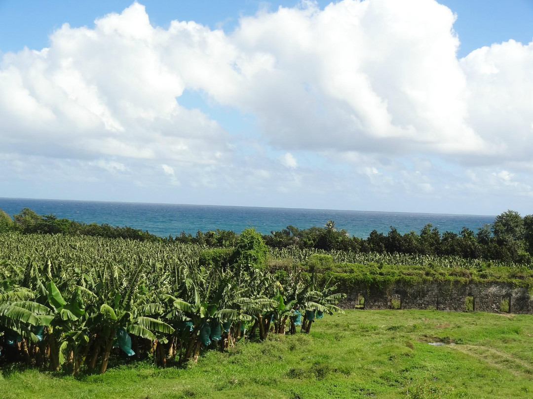 Sentier Nature Et Decouverte Chalvet-Basse-Pointe必去景点