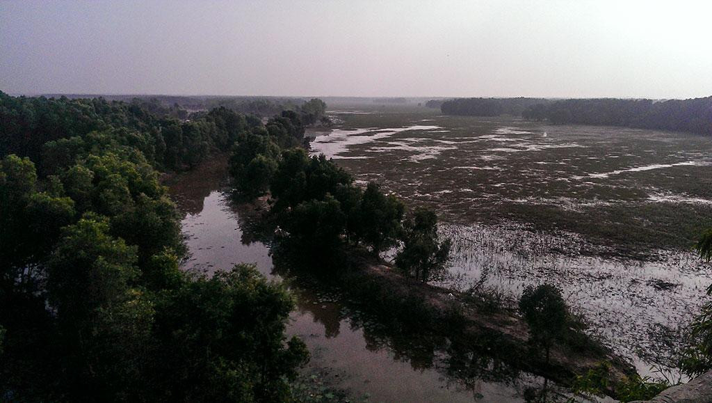 Tram Chim National Park-Cao Lanh必去景点