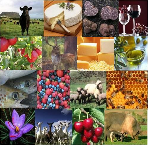 Australian Wild Harvest-伯尼必去景点