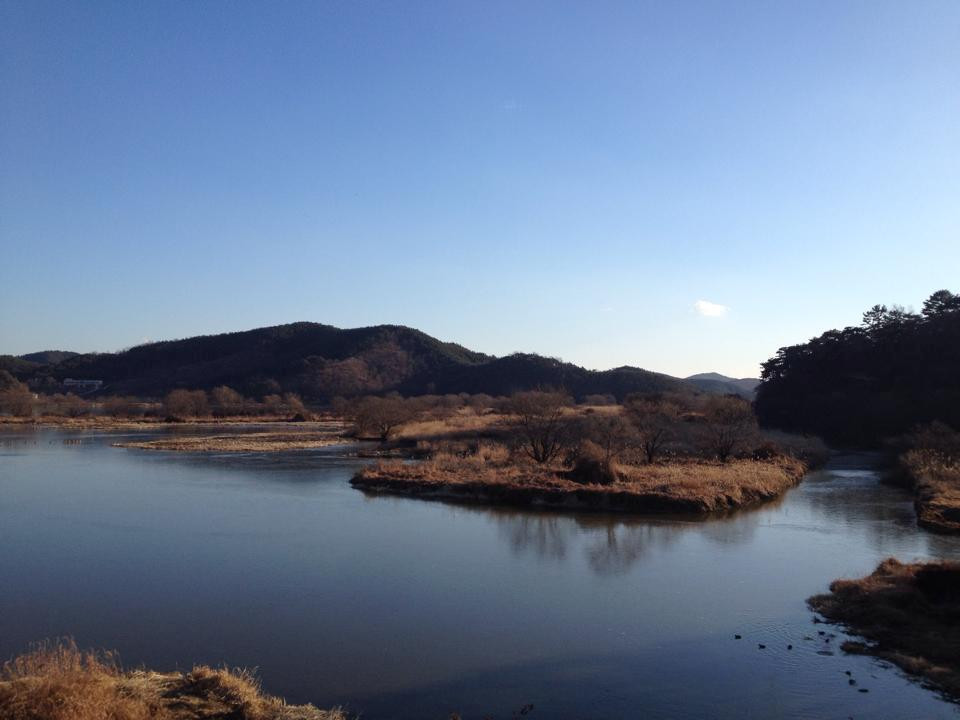 Upo Wetland-昌宁郡必去景点