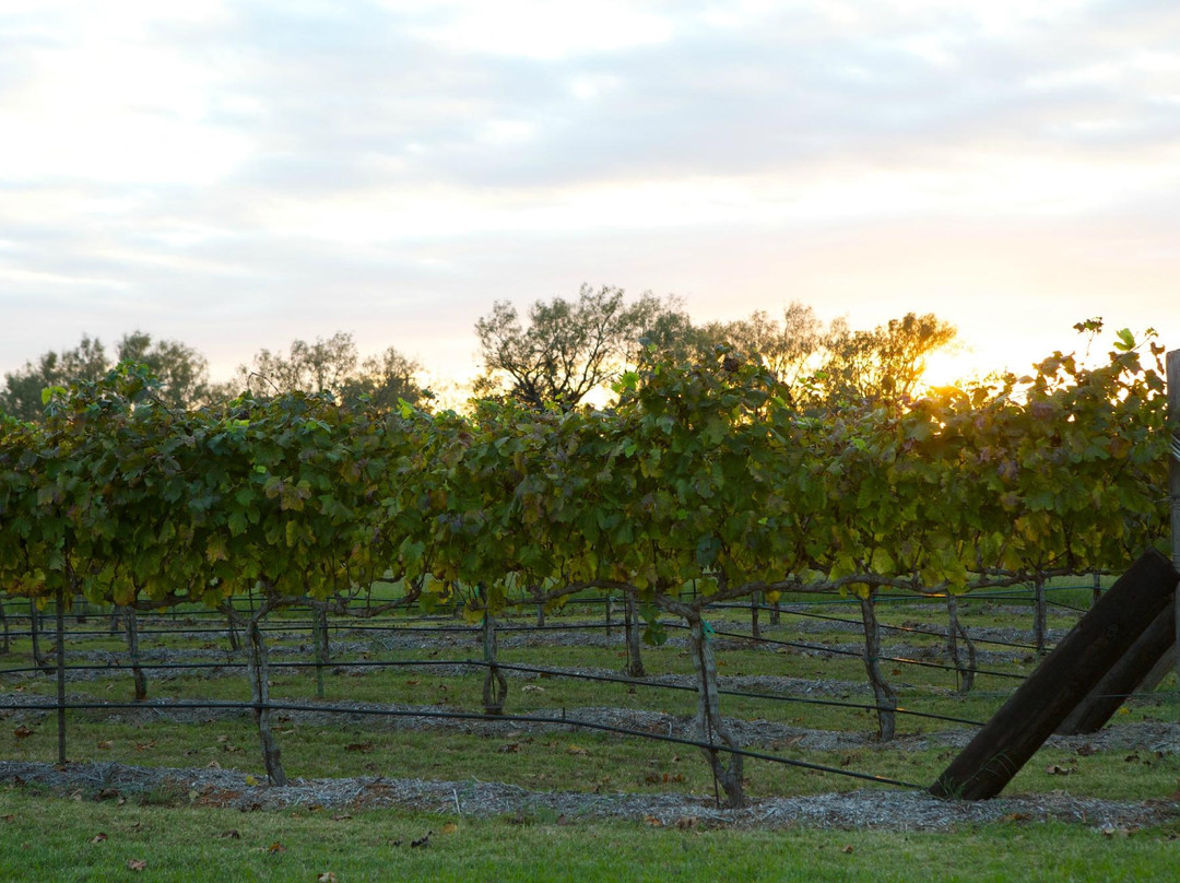 Barking Rocks Winery-格兰伯里必去景点