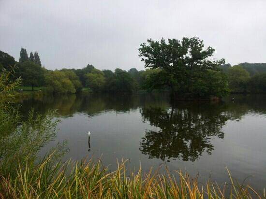 Lake Meadows景点图片