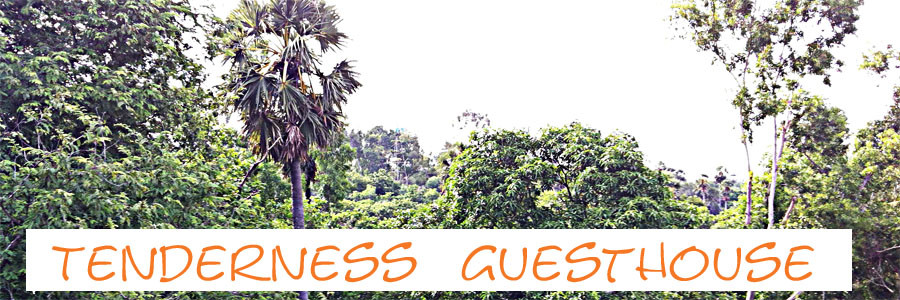 Tenderness Guest House主图