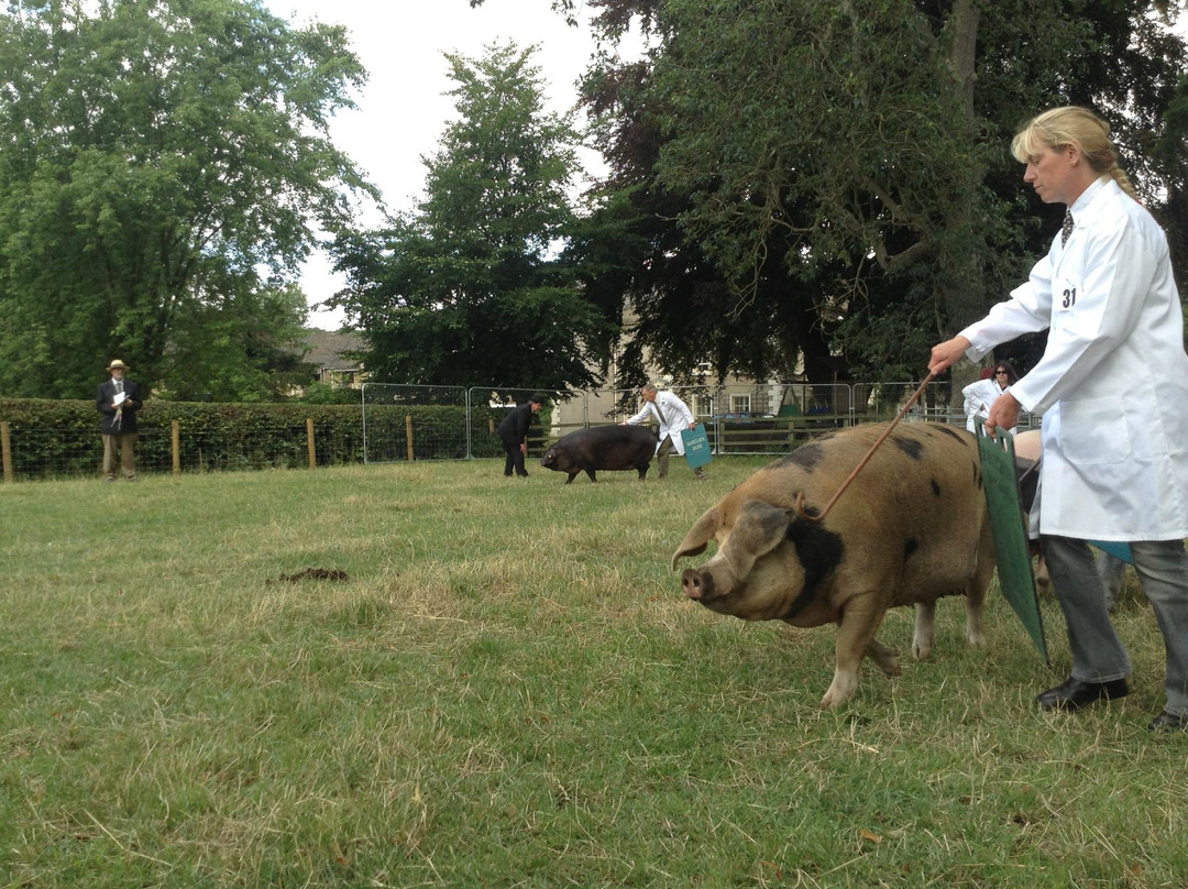 The Hawthornes主图