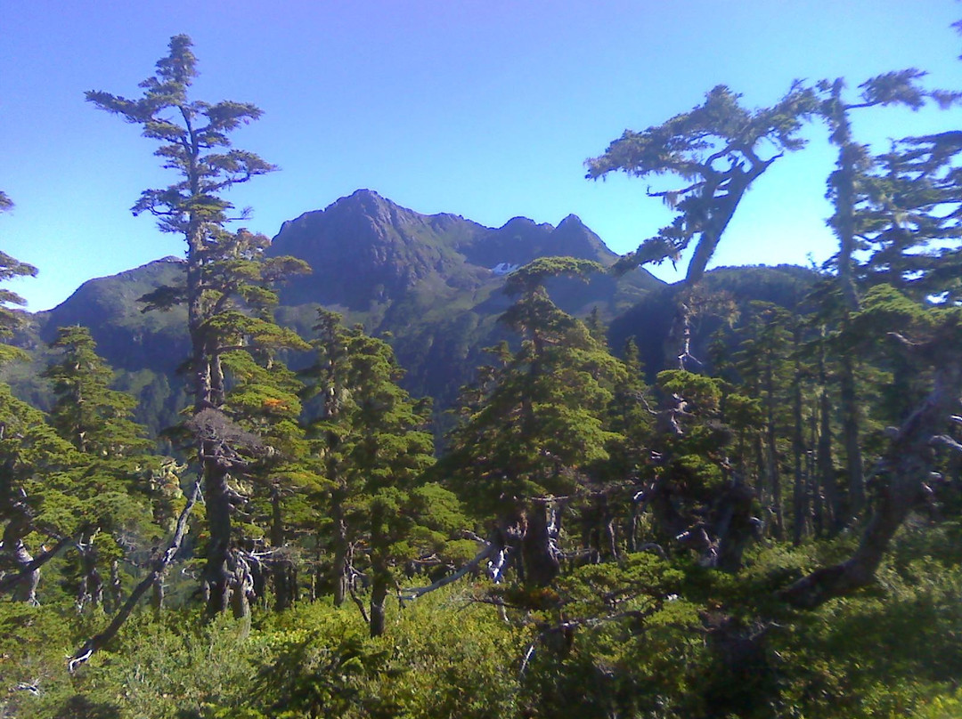 Harbor Mountain Trail-锡特卡必去景点