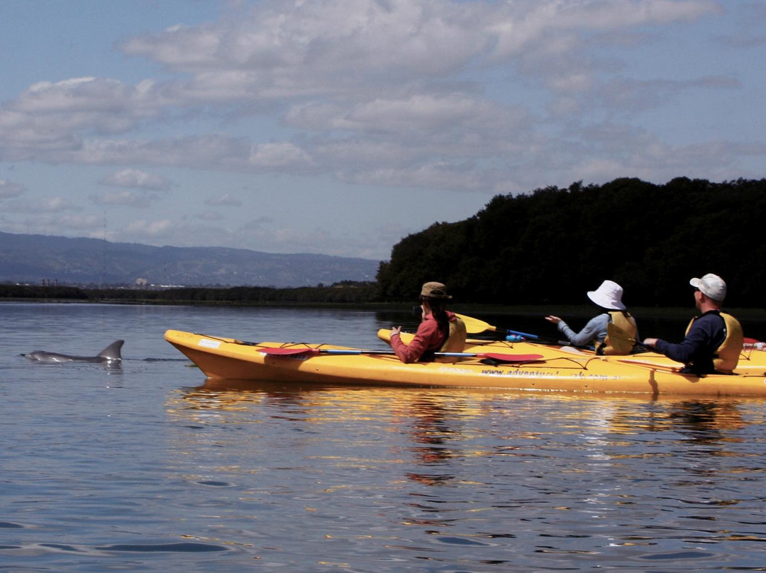 Adventure Kayaking SA-阿德莱德必去景点