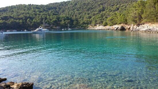 The Lošinj Aromatic Garden景点图片