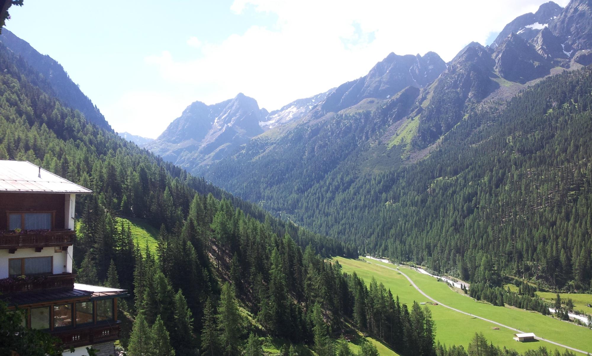 Berghof Schopf-酒店景观