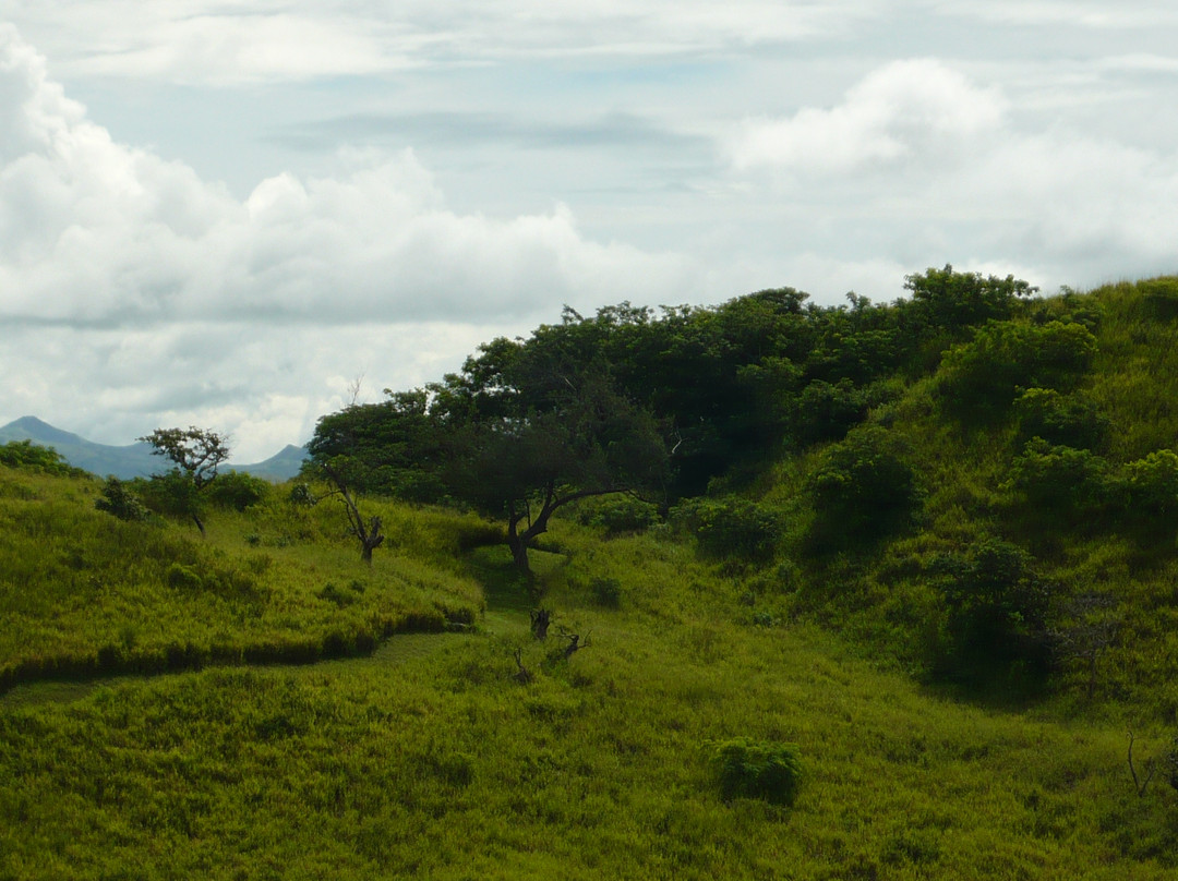 Sigatoka Sand Dunes National Park景点图片