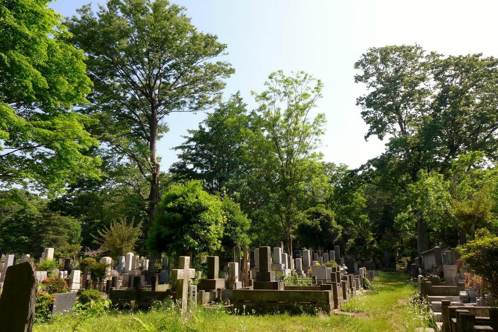 Zoshigaya Cemeteries景点图片