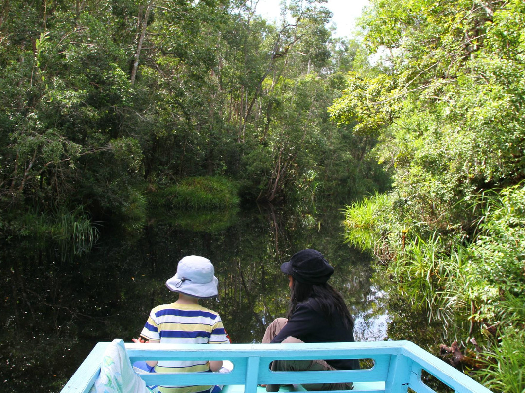 Wild Orangutan Tours - Day Tours-Pangkalan Bun必去景点