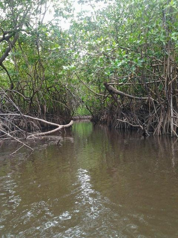 Igreja de Nossa Senhora da Conceicao do Outeiro-嘎林海斯港必去景点