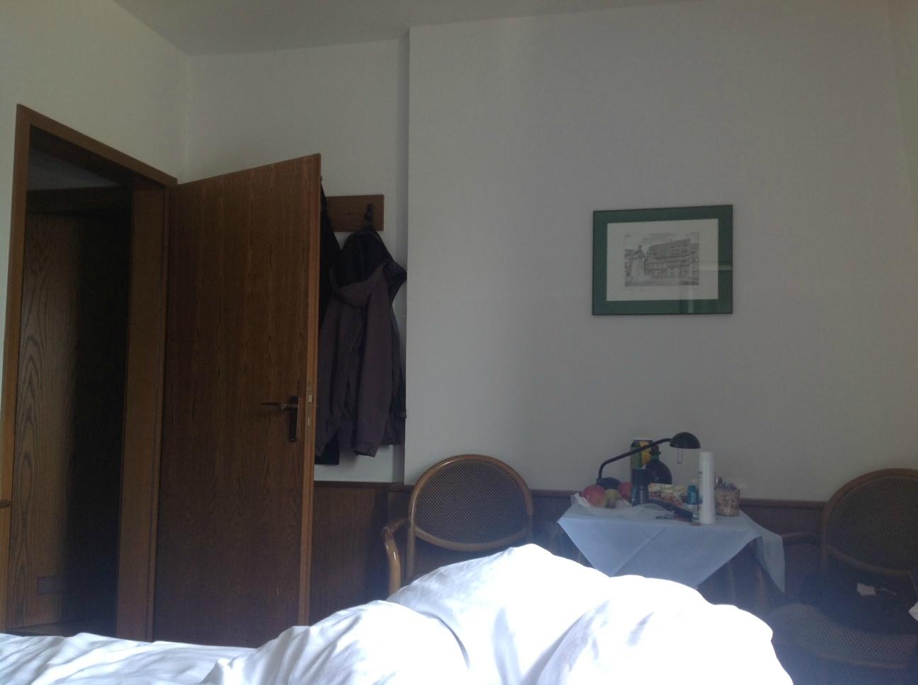Hotel Lessing-Hof-客卧