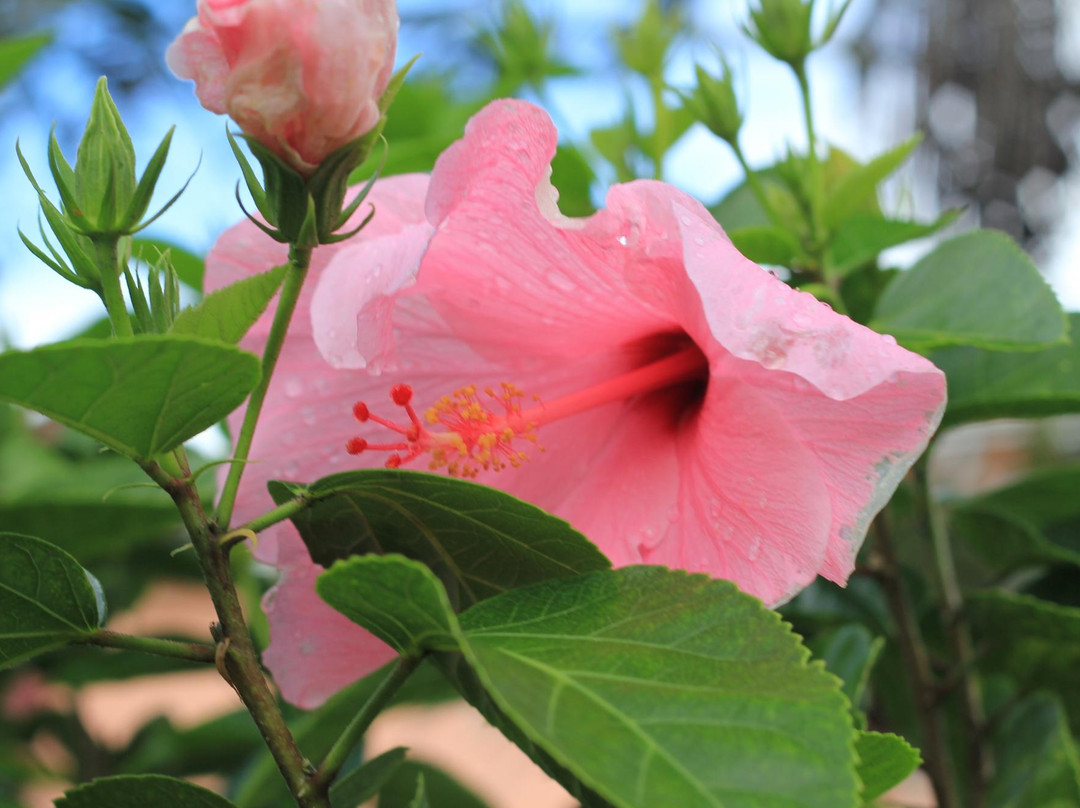 Silver Creek Resort主图