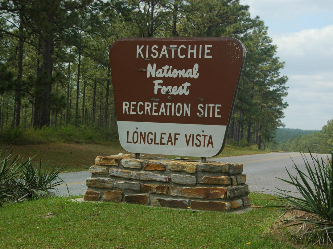Longleaf Vista Recreation Area景点图片