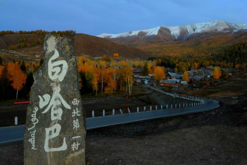 白哈巴森林公园景点图片