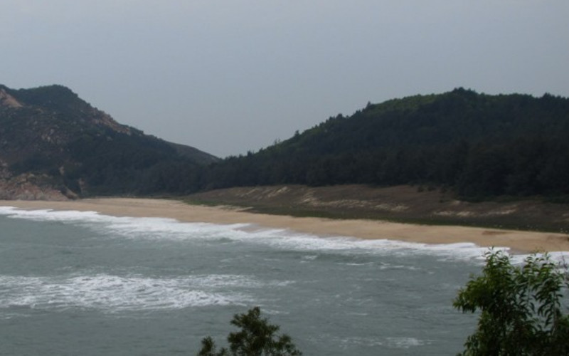 海龟保护区-惠东县必去景点