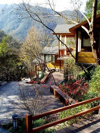 森林温泉度假村主图