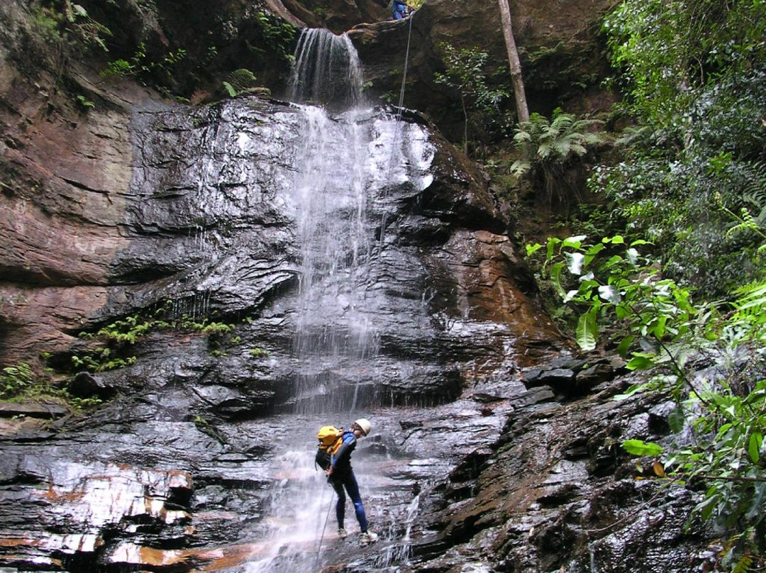 High and Wild Australian Adventures-卡通巴必去景点