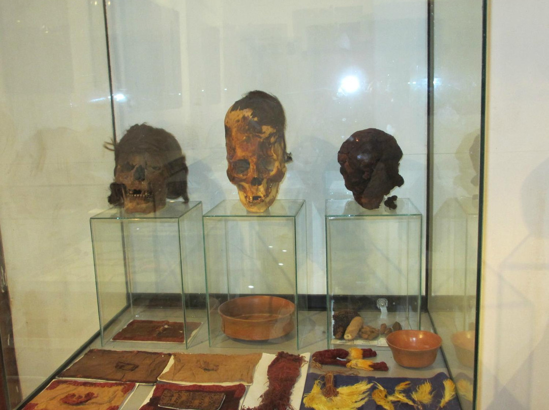 Paracas History Museum -  Juan Navarro Hierro-帕拉卡斯必去景点