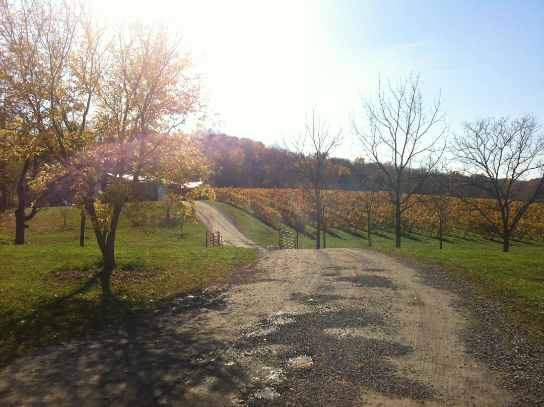 Niagara Wine Trail USA-尼亚加拉大瀑布必去景点