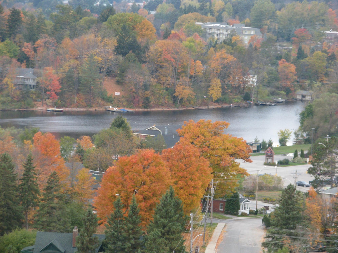 Lions Lookout-亨茨维尔必去景点