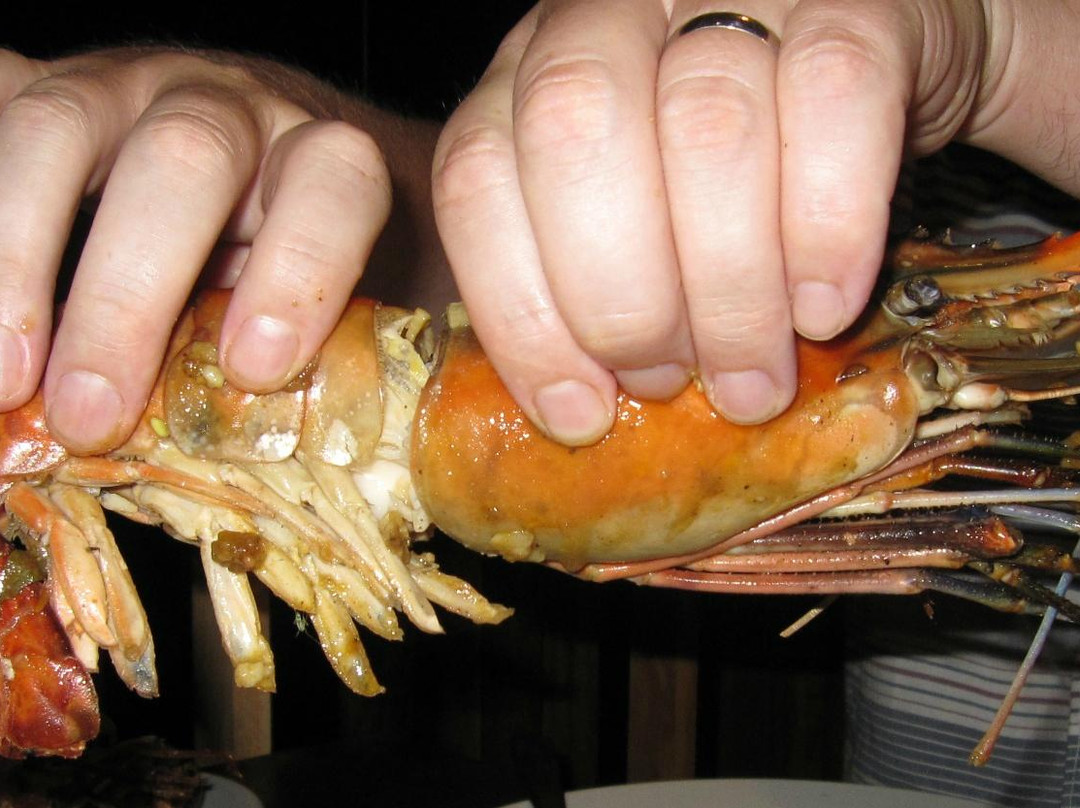 塔拉拉秘密湾酒店主图