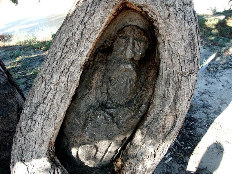 Burke and Wills Tree-Thargomindah必去景点