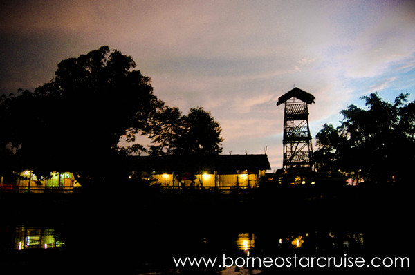 Monkey Tops Safari-Beaufort必去景点