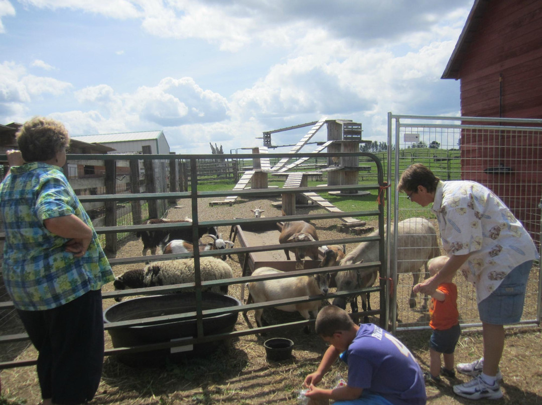 Erickson's Petting Zoo-Osakis必去景点