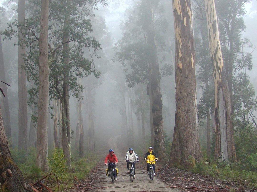 Snowy River Cycling Rail Trail Tours景点图片